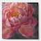 Designart - Vivid Pink Peonies I - Shabby Chic Gallery-wrapped Canvas